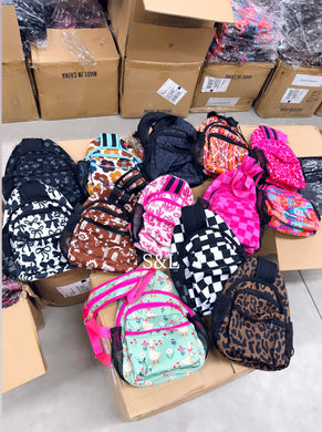 Backpack/crossbody (sent randomly)