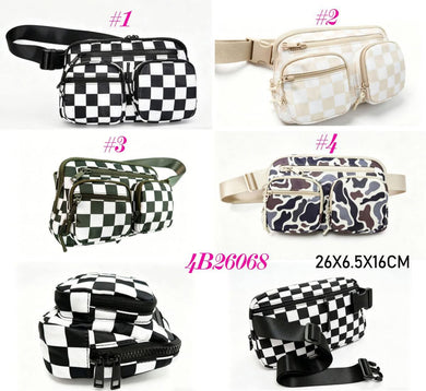 Crossbody purse (early September)